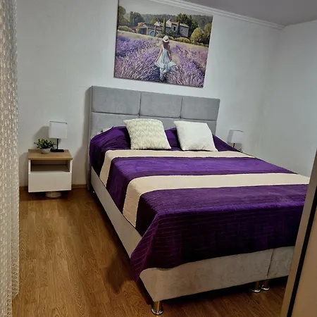 Appartamento Didovina House