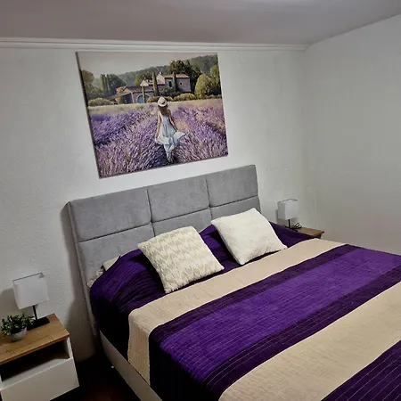Didovina House Appartamento Vodenjak
